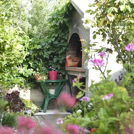 Bepo פאקוסטאן