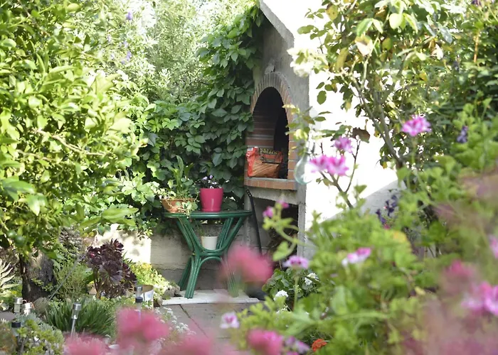 Bepo פאקוסטאן